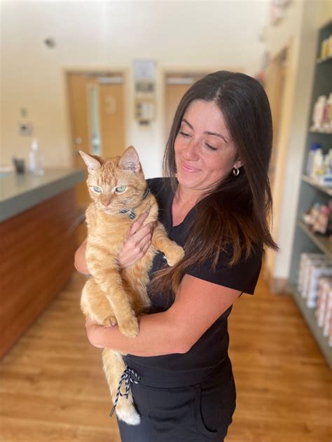 Gallery - Tuscawilla Animal Hospital | Great 5 Star Rated Winter ...