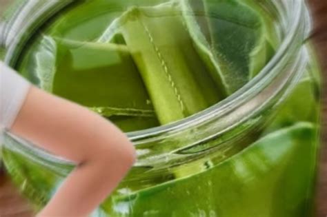 This Aloe Vera Recipe Is 150 Times Stronger Than Garlic, Lemon, and ...