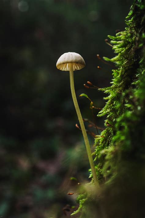 Txreemarie+Leaked+Live+Stream Photos, Download The BEST Free Txreemarie+Leaked+Live+Stream Stock ...