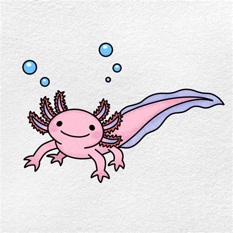 How To Draw An Axolotl Salamander Easy Cute Easy Drawings Dibujos | My XXX Hot Girl