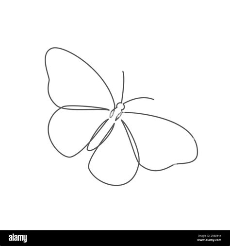 Butterfly One line drawing on white background Stock Vector Image & Art ...
