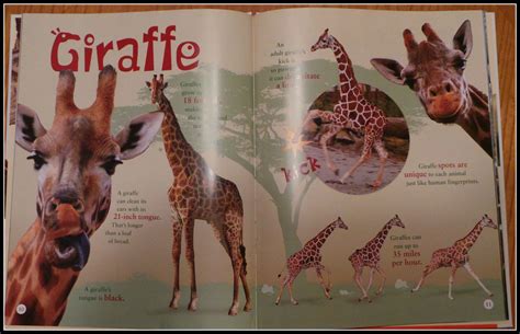 Weird & Wild Animal Facts combines great images and short information ...