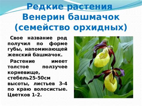 Презентация Красная книга Бурятии