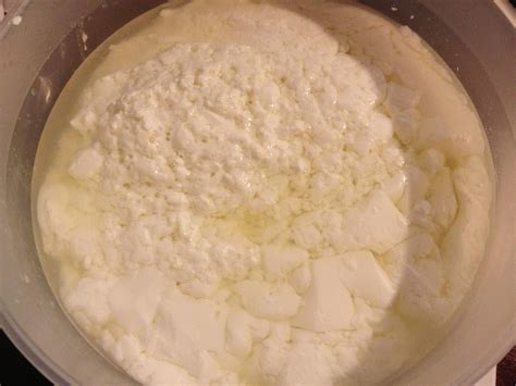 Free From G.: The Big Cheese Making Kit - Our Homemade Mozzarella