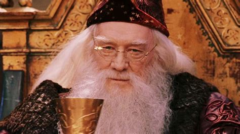Harry Potter : Ian McKellen (Gandalf) a refusé de jouer Dumbledore (et ...