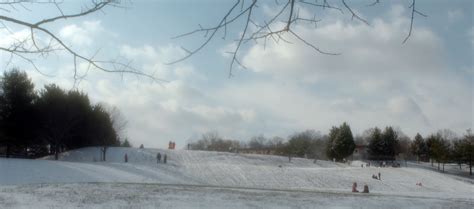 Outdoor Fun at Piney Run, Bear Branch Nature Centers | Westminster, MD ...