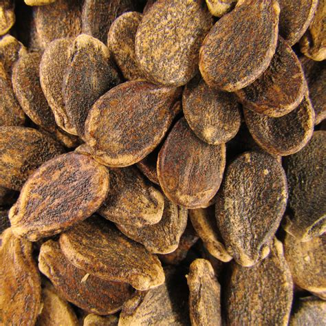 Watermelon - Desert King - St. Clare Heirloom Seeds