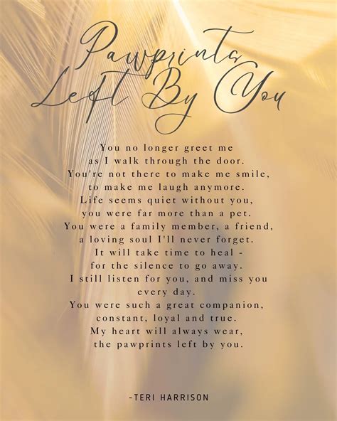 16 Heartfelt Dog Loss Poems For Comfort & Healing | Pretty Fluffy