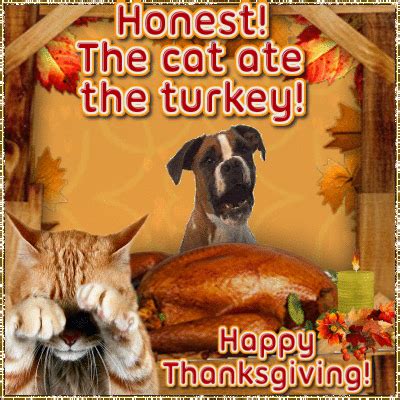 Funny Thanksgiving Gifs Free Download For Facebook