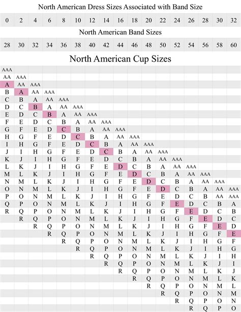 Bust Size To Cup Size Chart at Justin Backhaus blog
