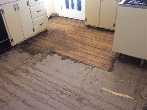 How To Remove Linoleum Glue From Wood Subfloor at Bradley Briseno blog