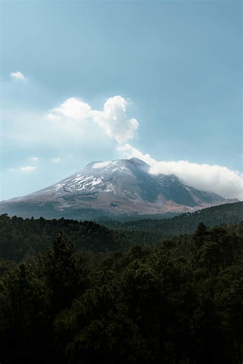 Big+Beautiful+Butts+In+Thongs Photos, Download The BEST Free Big ...