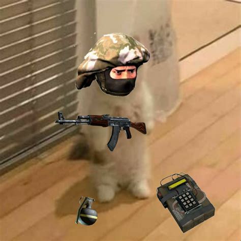 Standing cat meme pfp | Cs go funny, Funny hamsters, Cat memes
