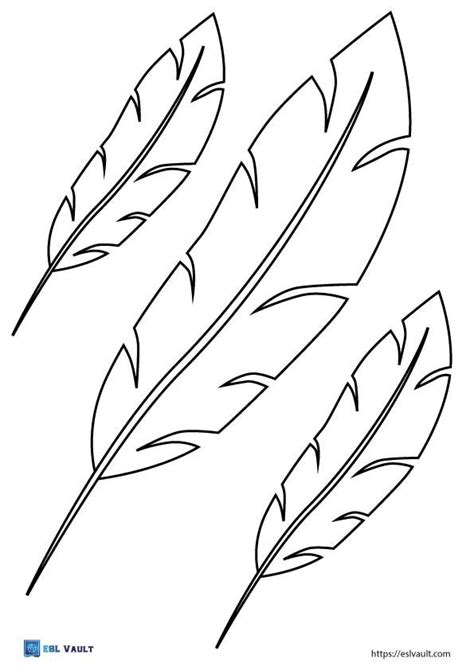 100+ Free printable feather templates (PDF) - ESL Vault