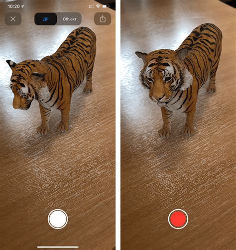 Как сделать фото или видео тигра и других 3D животных в Google на ...