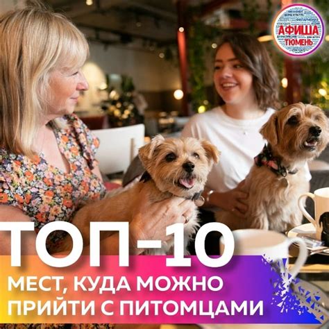 ТОП-10 кафе и баров в Тюмени, куда можно прийти с питомцами Согласитесь ...