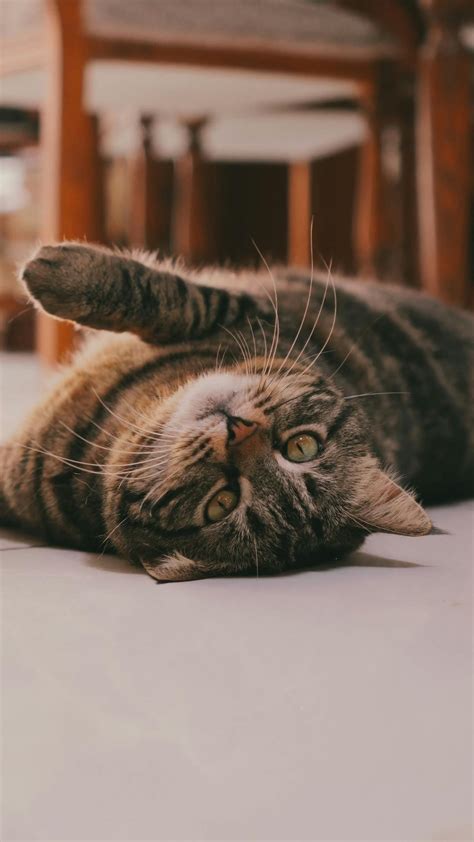 Candid Hd+Video Videos, Download The BEST Free 4k Stock Video Footage & Candid Hd+Video HD Video ...