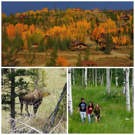 Exploring Colorado in the Fall - Savvy Sassy Moms