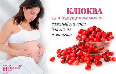 Клюква при беременности. Польза, противопоказания. Можно ли употреблять ...