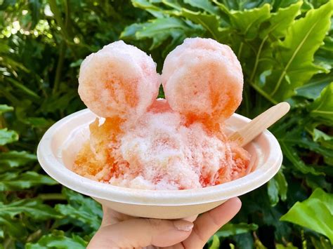 5 Best Shave Ice in Oahu - Life In Wanderlust