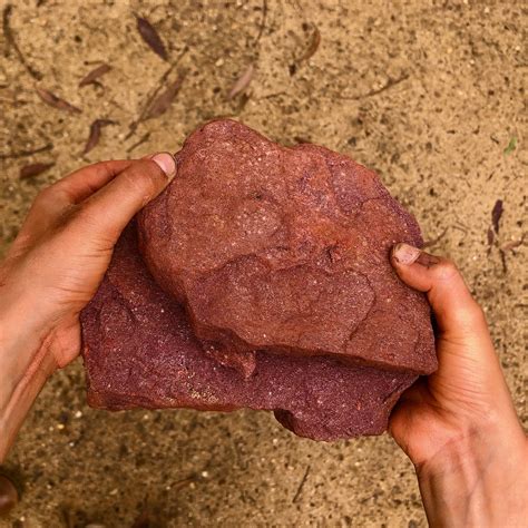 Red Ochre — 500 Voices