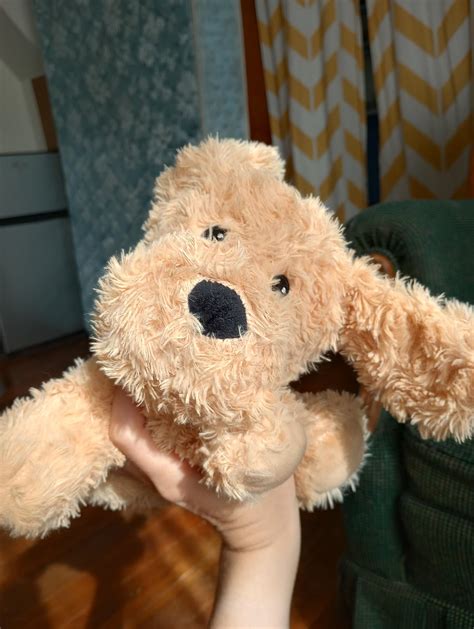 FOUND: Fairhaven Park - Please contact for return! : r/Bellingham