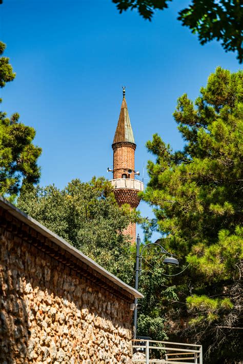 Big+Butts+In+Thongs Photos, Download The BEST Free Big+Butts+In+Thongs ...