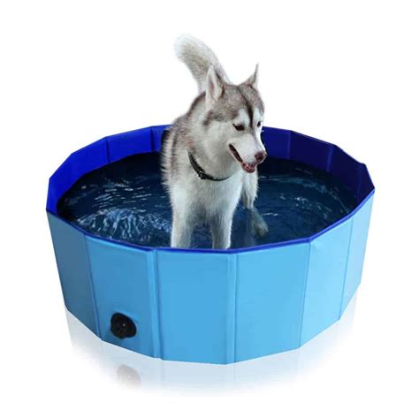 Top 10 Best Dog Bath Tubs in 2021 Reviews - Guide Me