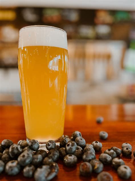 These Blue Eyes - Blueberry Wheat Ale - Nine Mile Brewing