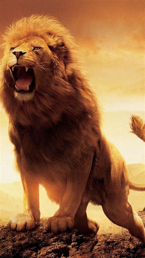 Narnia Aslan Wallpaper (68+ images)