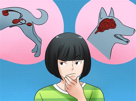 Diabetes Insipidus In Dogs Pin By Dana Has Diabetes On Do I Have ...