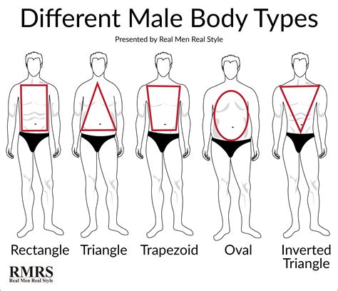 Men Body Types