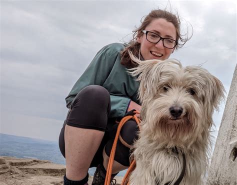 Orijen Wet Cat Food Review | CatFoodAdvisor