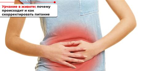Урчание в животе: почему происходит и как скорректировать питание ...