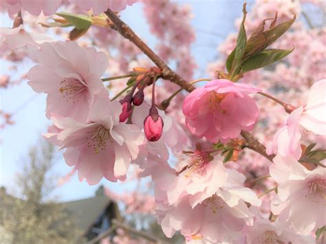 @the-ocean-night - Tumblr Blog | Tumlook