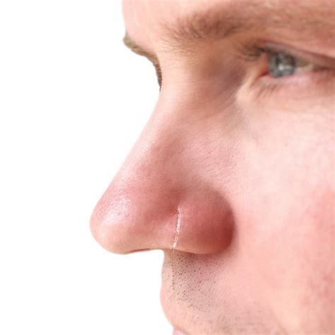 Unisex Nose Ring, Clear Nose Studs, Transparent Nose Stud, Nose ...