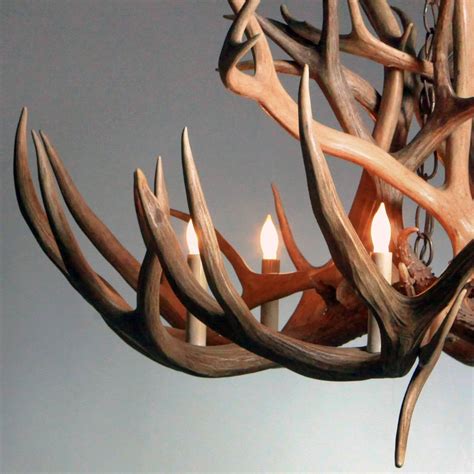 Deer Antler Chandelier at 1stDibs