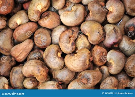 Raw Cashew Nuts