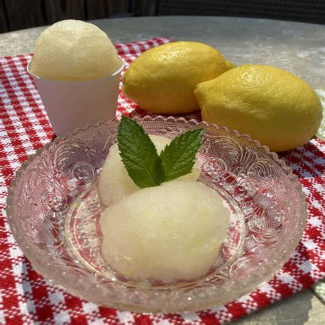 Italian Lemon Ice - A Refreshing Summer Treat | Tessa's Kitchen Tales