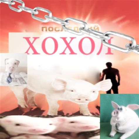 Создать мем "большая свинья, смешные свиньи, хрю хрю" - Картинки - Meme ...