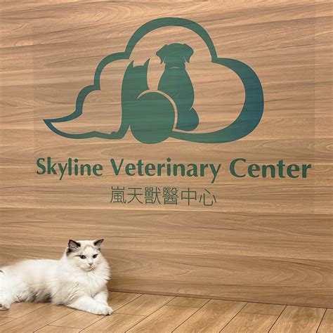 嵐天獸醫中心 Skyline Veterinary Center - 由專業的獸醫為你的愛寵提供最好的醫療服務
