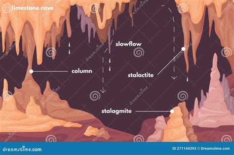 Stalagmite Infographic. Stalagmites Formations Natural Stalactite ...