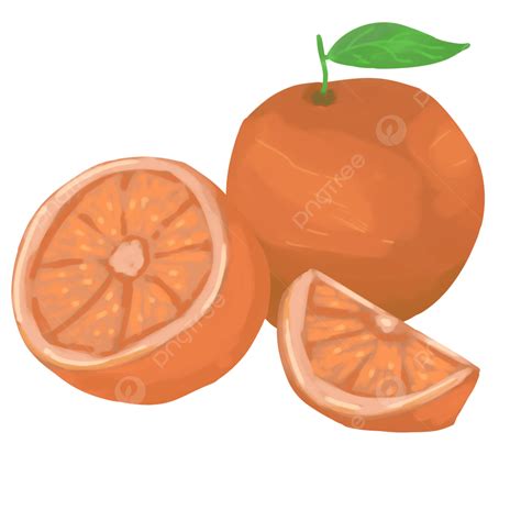 Orange, Fresh, Fresh Oranges, Fruits PNG Transparent Clipart Image and ...