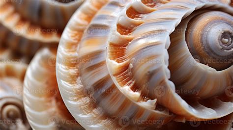 AI generated Mesmerizing hyper zoom into the texture of a seashell ...