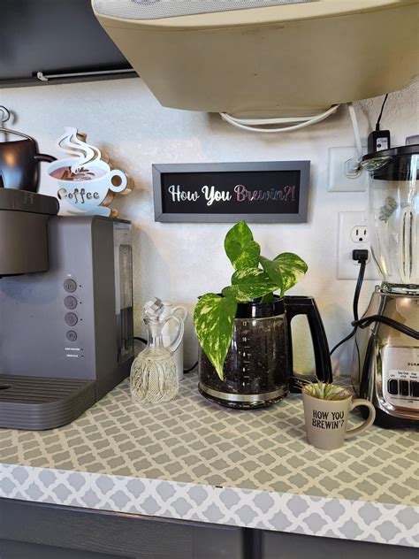 My wife is a plant ninja! Everytime I turn around there is a new plant somewhere in here. : r ...