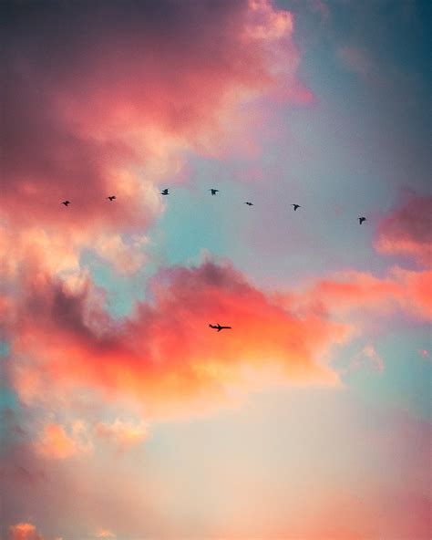 Download Birds Cloud iPhone Wallpaper | Wallpapers.com