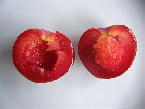 Плуот (слива-абрикос) Флейвор Супрем Pluot Apricot x Plum hybrid Flavor ...