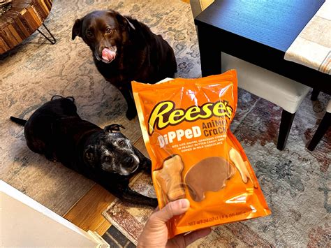 Reese’s dipped animal crackers… my new addiction! : r/Costco