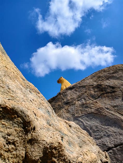 Japanese+Big+Boob+Bikini Photos, Download The BEST Free Japanese+Big ...