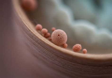 What Is a Regulated Asset Base (RAB) Model and How Does It Reduce ...